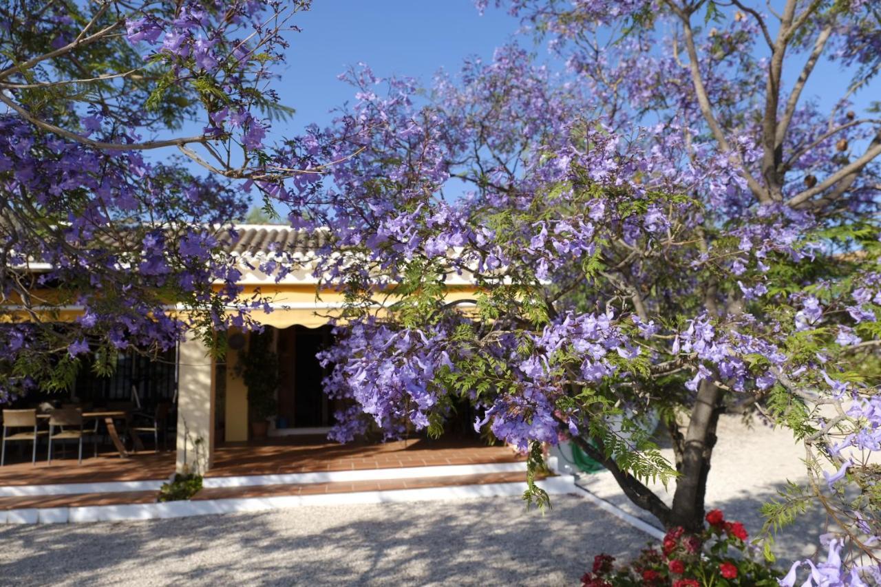 Finca Gordo Ríogordo エクステリア 写真
