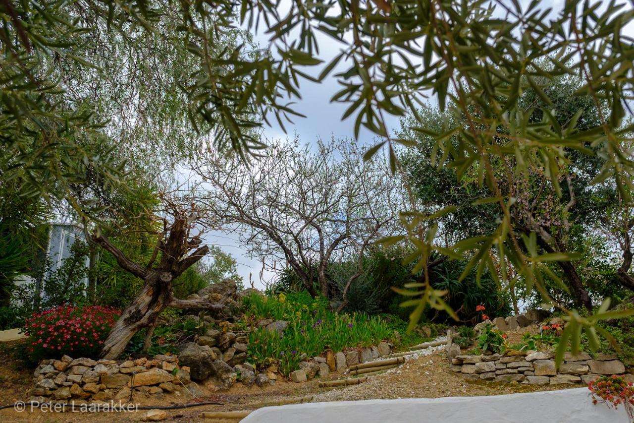 Finca Gordo Ríogordo エクステリア 写真